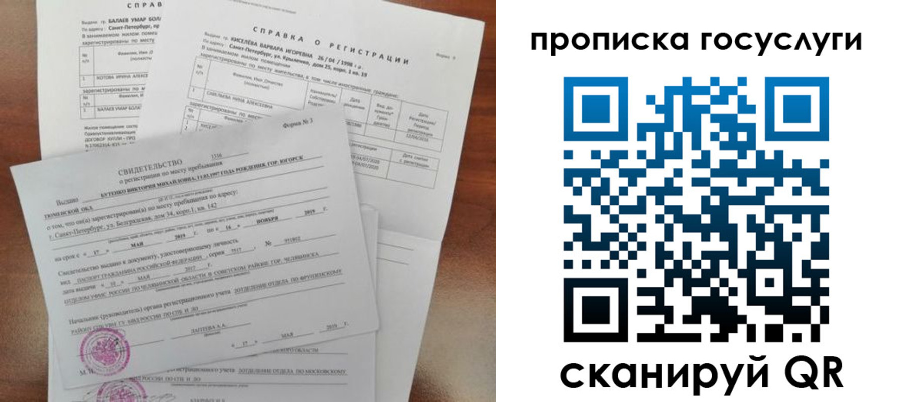 прописка в Стародубе